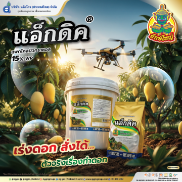 แอ็กดิค 15